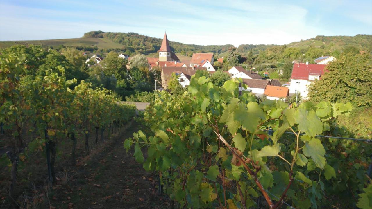 Apartamento Weingut Will Und Wuerz Lemberger Schwaigern Exterior foto